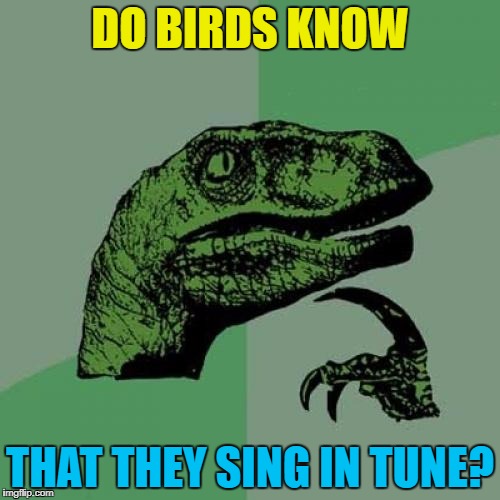 What could they do with a piano? :) |  DO BIRDS KNOW; THAT THEY SING IN TUNE? | image tagged in memes,philosoraptor,animals,birds,music | made w/ Imgflip meme maker