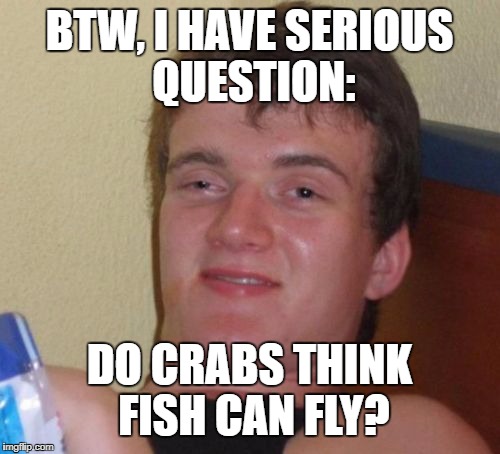 10 Guy Meme | BTW, I HAVE SERIOUS QUESTION:; DO CRABS THINK FISH CAN FLY? | image tagged in memes,10 guy | made w/ Imgflip meme maker