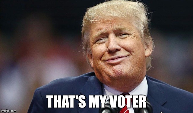 Trump Oopsie | THAT'S MY VOTER | image tagged in trump oopsie | made w/ Imgflip meme maker