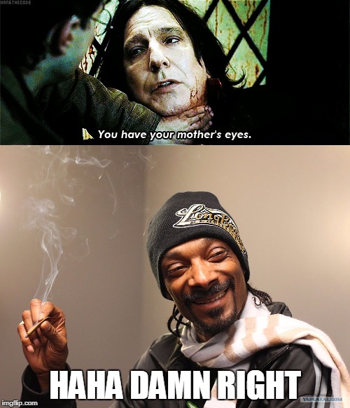 Image tagged in severus snape,snoop dogg,memes,funny memes - Imgflip