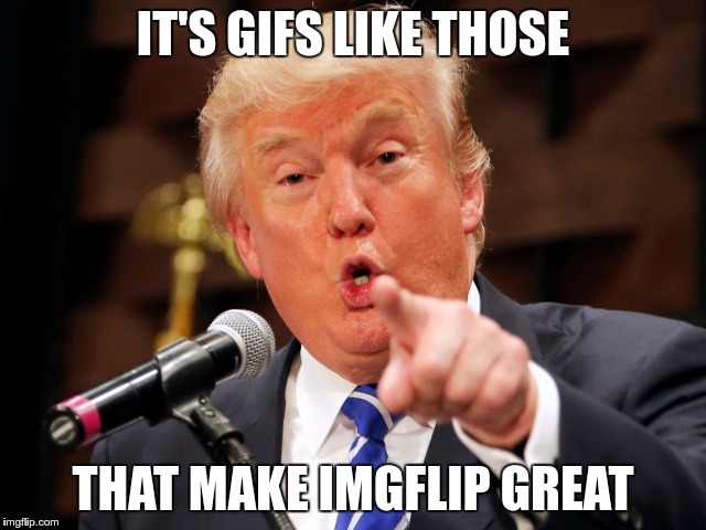 Trump You! | IT'S GIFS LIKE THOSE THAT MAKE IMGFLIP GREAT | image tagged in trump you | made w/ Imgflip meme maker