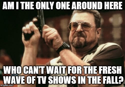 Am I The Only One Around Here | AM I THE ONLY ONE AROUND HERE; WHO CAN'T WAIT FOR THE FRESH WAVE OF TV SHOWS IN THE FALL? | image tagged in memes,am i the only one around here | made w/ Imgflip meme maker