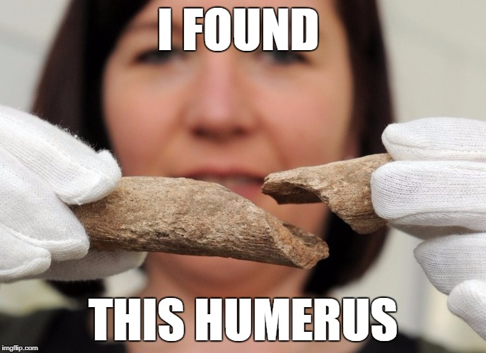 Archaeologists think this kind of stuff is funny | I FOUND; THIS HUMERUS | image tagged in haha,nerd | made w/ Imgflip meme maker