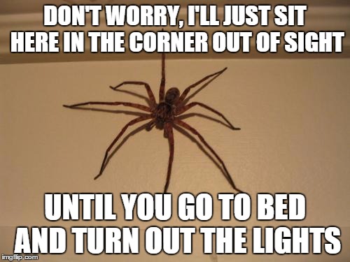 And the only way to truly murder it, is to set it aflame and then put it through a wood chipper. | DON'T WORRY, I'LL JUST SIT HERE IN THE CORNER OUT OF SIGHT; UNTIL YOU GO TO BED AND TURN OUT THE LIGHTS | image tagged in scumbag spider | made w/ Imgflip meme maker