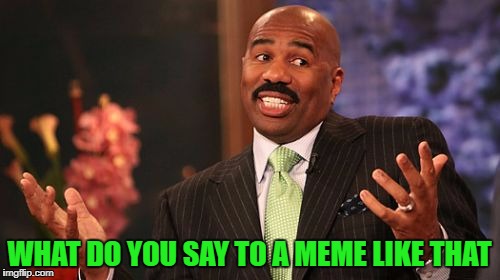 Steve Harvey Meme | WHAT DO YOU SAY TO A MEME LIKE THAT | image tagged in memes,steve harvey | made w/ Imgflip meme maker