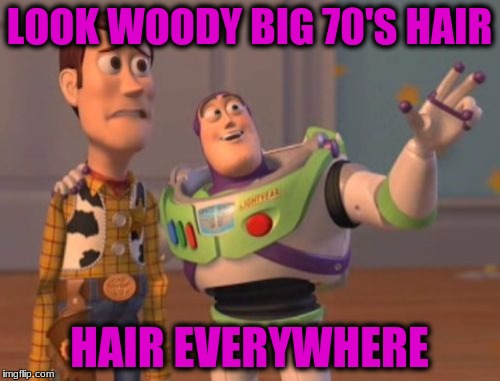 X, X Everywhere Meme | LOOK WOODY BIG 70'S HAIR HAIR EVERYWHERE | image tagged in memes,x x everywhere | made w/ Imgflip meme maker