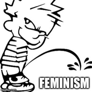 piss on you | FEMINISM | image tagged in piss on you | made w/ Imgflip meme maker