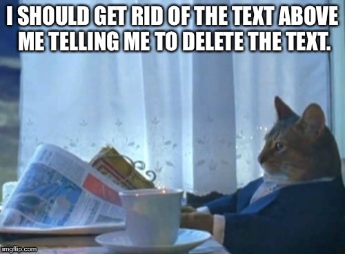 I Should Buy A Boat Cat | I SHOULD GET RID OF THE TEXT ABOVE ME TELLING ME TO DELETE THE TEXT. | image tagged in memes,i should buy a boat cat | made w/ Imgflip meme maker