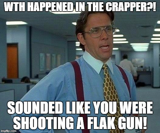 That Would Be Great | WTH HAPPENED IN THE CRAPPER?! SOUNDED LIKE YOU WERE SHOOTING A FLAK GUN! | image tagged in memes,that would be great | made w/ Imgflip meme maker