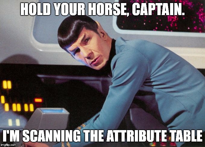Spock detected  | HOLD YOUR HORSE, CAPTAIN. I'M SCANNING THE ATTRIBUTE TABLE | image tagged in spock detected | made w/ Imgflip meme maker
