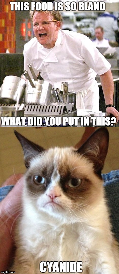 Gordan Ramsey Vs Grumpy cat (inspired by Radaog)  | THIS FOOD IS SO BLAND; WHAT DID YOU PUT IN THIS? CYANIDE | image tagged in grumpy cat,chef gordon ramsay | made w/ Imgflip meme maker