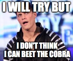 I WILL TRY BUT I DON'T THINK I CAN BEET THE COBRA | made w/ Imgflip meme maker