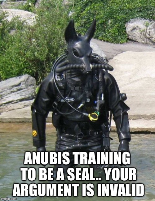 Anubis |  ANUBIS TRAINING TO BE A SEAL.. YOUR ARGUMENT IS INVALID | image tagged in invalid argument | made w/ Imgflip meme maker