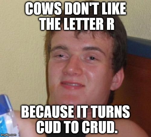 10 Guy | COWS DON'T LIKE THE LETTER R; BECAUSE IT TURNS CUD TO CRUD. | image tagged in memes,10 guy | made w/ Imgflip meme maker