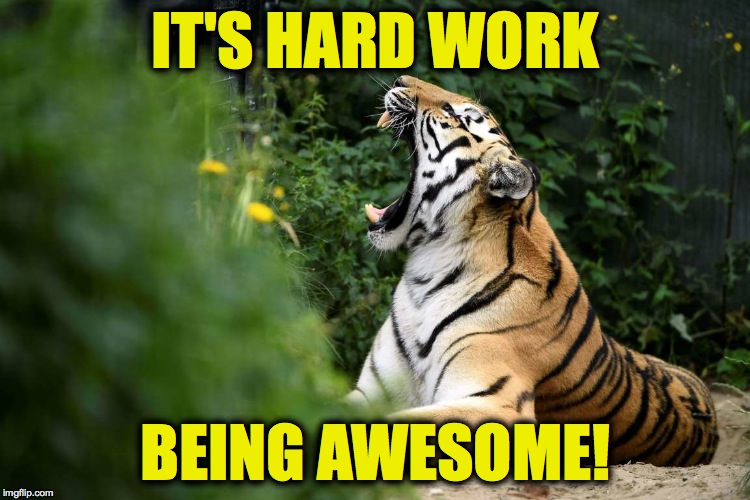 Tuckered Tiger |  IT'S HARD WORK; BEING AWESOME! | image tagged in being awesome | made w/ Imgflip meme maker