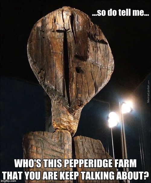 Shigirsky Idol is not impressed | ...SO DO TELL ME... WHO'S THIS PEPPERIDGE FARM THAT YOU ARE TALKING ABOUT? | image tagged in memes,shigirsky idol | made w/ Imgflip meme maker