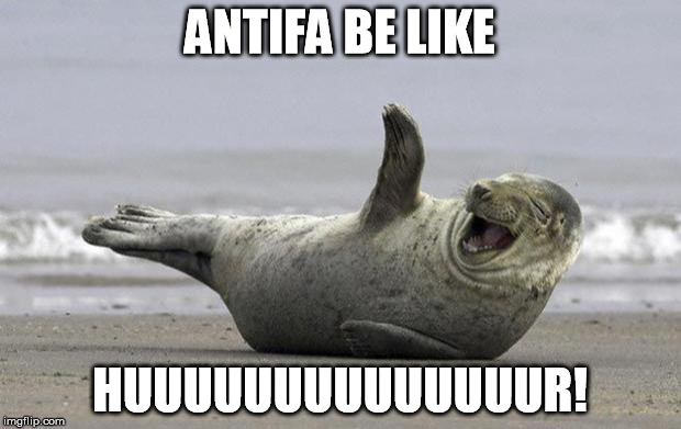 laughing seal | ANTIFA BE LIKE; HUUUUUUUUUUUUUUR! | image tagged in laughing seal | made w/ Imgflip meme maker