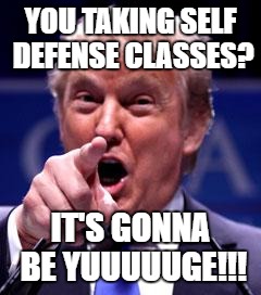 Trump Trademark | YOU TAKING SELF DEFENSE CLASSES? IT'S GONNA BE YUUUUUGE!!! | image tagged in trump trademark | made w/ Imgflip meme maker