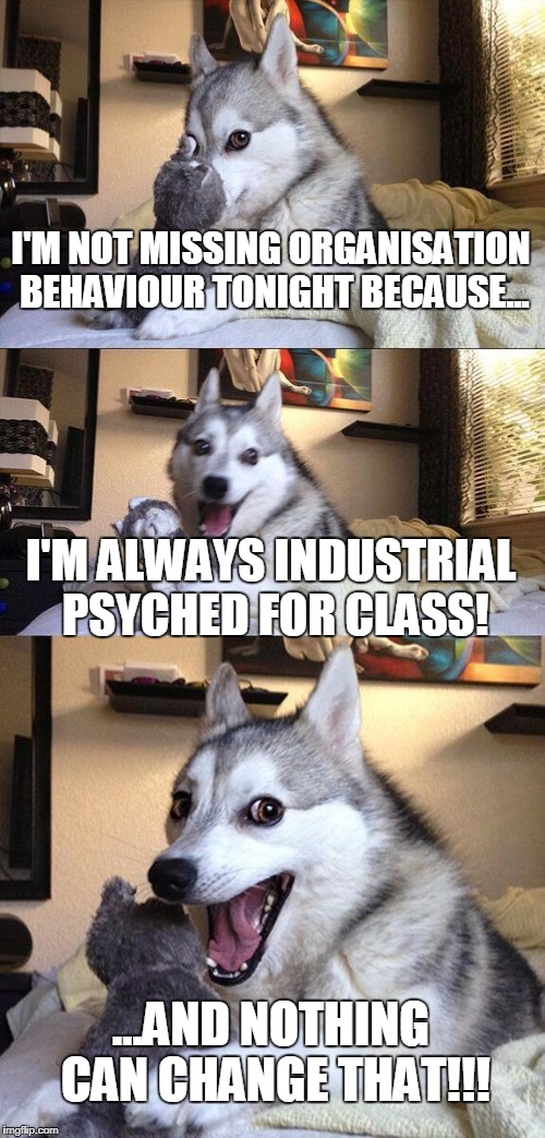 Bad Pun Dog | I'M NOT MISSING ORGANISATION BEHAVIOUR TONIGHT BECAUSE... I'M ALWAYS INDUSTRIAL PSYCHED FOR CLASS! ...AND NOTHING CAN CHANGE THAT!!! | image tagged in memes,bad pun dog | made w/ Imgflip meme maker