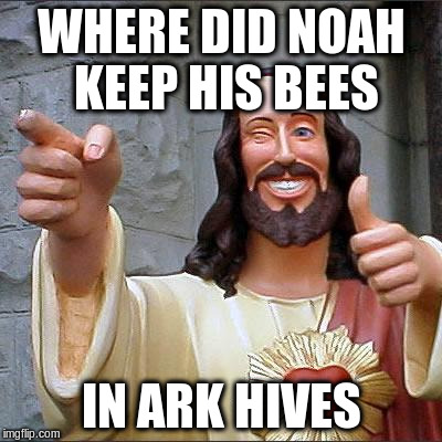WHERE DID NOAH KEEP HIS BEES IN ARK HIVES | made w/ Imgflip meme maker