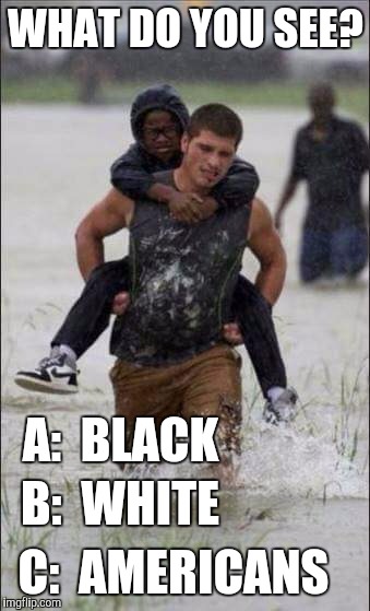 Or D: Aliens? Haha | WHAT DO YOU SEE? A:  BLACK; B:  WHITE; C:  AMERICANS | image tagged in memes,americans,hurricane harvey,freedom | made w/ Imgflip meme maker
