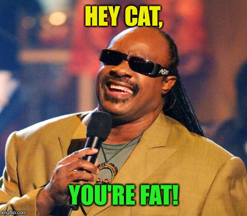 HEY CAT, YOU'RE FAT! | made w/ Imgflip meme maker