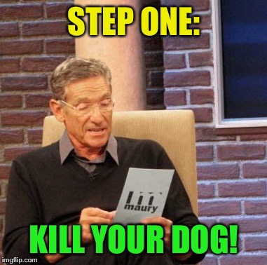Maury Lie Detector Meme | STEP ONE: KILL YOUR DOG! | image tagged in memes,maury lie detector | made w/ Imgflip meme maker