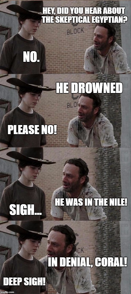 Sorry Not Sorry! | HEY, DID YOU HEAR ABOUT THE SKEPTICAL EGYPTIAN? NO. HE DROWNED; PLEASE NO! HE WAS IN THE NILE! SIGH... IN DENIAL, CORAL! DEEP SIGH! | image tagged in memes,rick and carl long | made w/ Imgflip meme maker