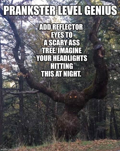 PRANKSTER LEVEL GENIUS ADD REFLECTOR EYES TO A SCARY ASS TREE. IMAGINE YOUR HEADLIGHTS HITTING THIS AT NIGHT. | made w/ Imgflip meme maker