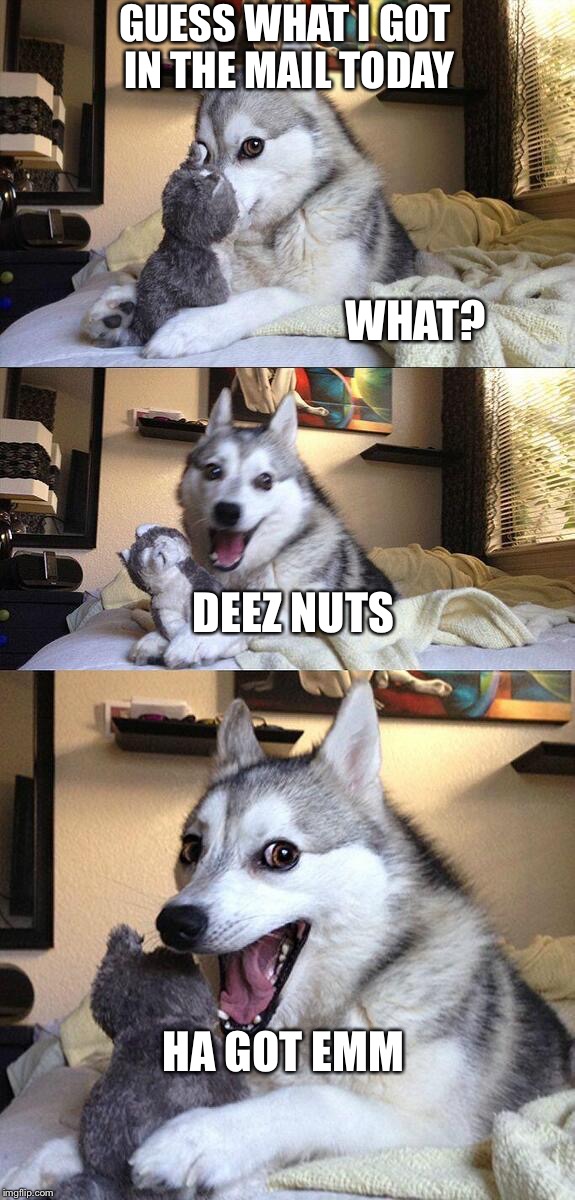 Bad Pun Dog Meme | GUESS WHAT I GOT IN THE MAIL TODAY; WHAT? DEEZ NUTS; HA GOT EMM | image tagged in memes,bad pun dog | made w/ Imgflip meme maker