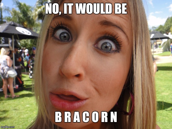 Memes | NO, IT WOULD BE B R A C O R N | image tagged in memes | made w/ Imgflip meme maker