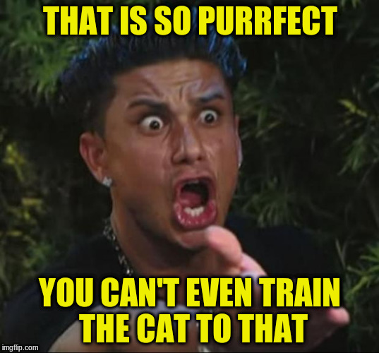 THAT IS SO PURRFECT YOU CAN'T EVEN TRAIN THE CAT TO THAT | made w/ Imgflip meme maker