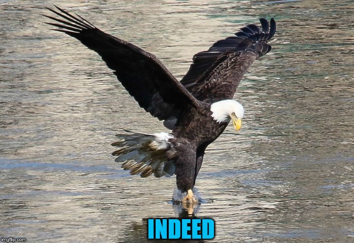 INDEED | made w/ Imgflip meme maker