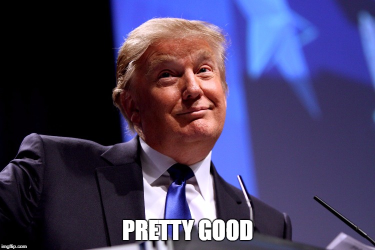 Donald Trump No2 | PRETTY GOOD | image tagged in donald trump no2 | made w/ Imgflip meme maker