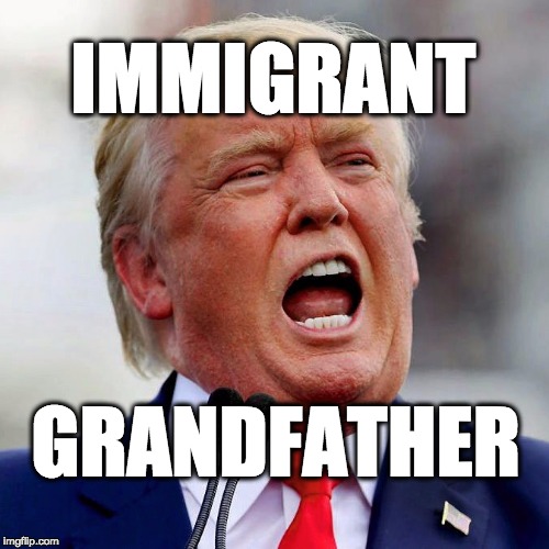 Immigrant grandfather | IMMIGRANT; GRANDFATHER | image tagged in donald trump,trump | made w/ Imgflip meme maker