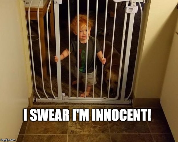 I'm Innocent! | I SWEAR I'M INNOCENT! | image tagged in jailtime,funny memes,toddler | made w/ Imgflip meme maker