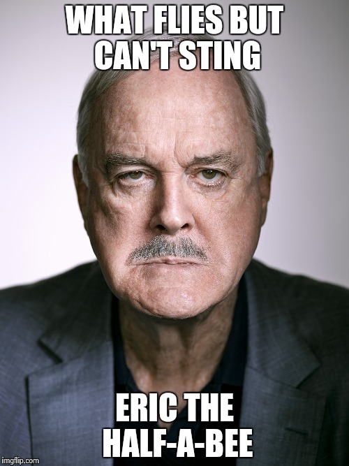 John Cleese | WHAT FLIES BUT CAN'T STING ERIC THE HALF-A-BEE | image tagged in john cleese | made w/ Imgflip meme maker