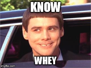 Dumb and Dumber | KNOW; WHEY | image tagged in dumb and dumber | made w/ Imgflip meme maker