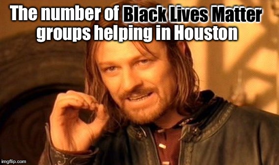 Why aren't they helping blacks when their lives are in danger? | Black Lives Matter; The number of Black Lives Matter groups helping in Houston | image tagged in memes,one does not simply,black lives matter,houston,flood,victims | made w/ Imgflip meme maker