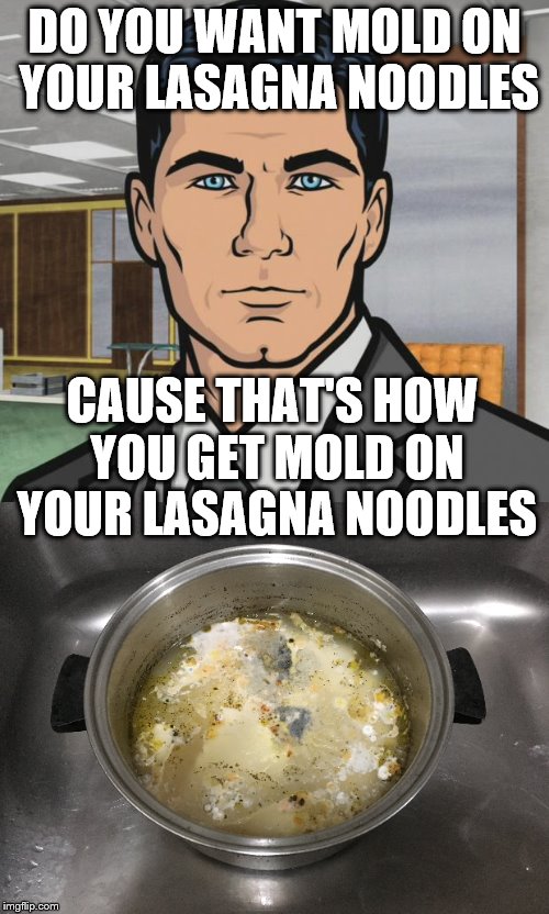 That ain't ricotta cheese and meatballs in there! | DO YOU WANT MOLD ON YOUR LASAGNA NOODLES; CAUSE THAT'S HOW YOU GET MOLD ON YOUR LASAGNA NOODLES | image tagged in do you want ants archer | made w/ Imgflip meme maker