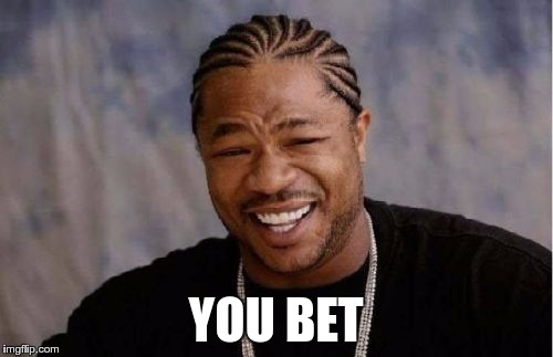 Yo Dawg Heard You Meme | YOU BET | image tagged in memes,yo dawg heard you | made w/ Imgflip meme maker