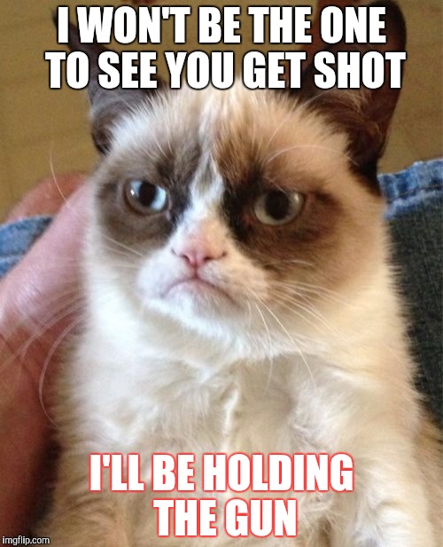 Grumpy Cat | I WON'T BE THE ONE TO SEE YOU GET SHOT; I'LL BE HOLDING THE GUN | image tagged in memes,grumpy cat | made w/ Imgflip meme maker