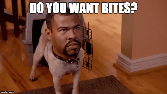 Cause that's how you get bites.  | DO YOU WANT BITES? | image tagged in grr,meme,funny,dog,peele,key | made w/ Imgflip meme maker