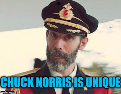 Captain Obvious | CHUCK NORRIS IS UNIQUE | image tagged in captain obvious | made w/ Imgflip meme maker