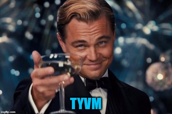 Leonardo Dicaprio Cheers Meme | TYVM | image tagged in memes,leonardo dicaprio cheers | made w/ Imgflip meme maker
