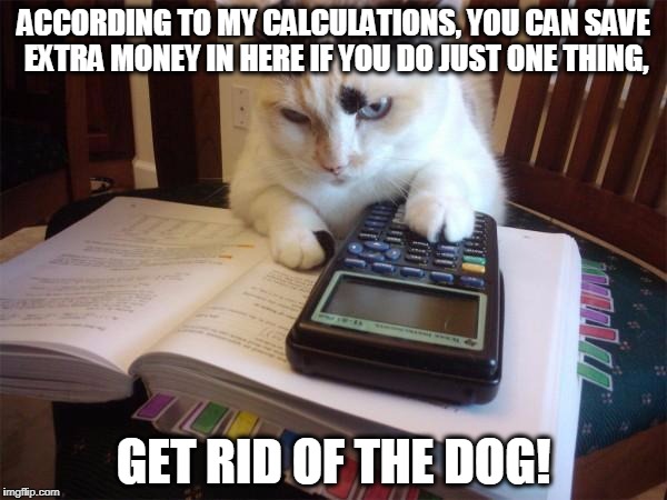 Now this is why we shoud keep our cats away from math: | ACCORDING TO MY CALCULATIONS, YOU CAN SAVE EXTRA MONEY IN HERE IF YOU DO JUST ONE THING, GET RID OF THE DOG! | image tagged in math cat,funny cats,too funny,mathematics,calculator,funny meme | made w/ Imgflip meme maker