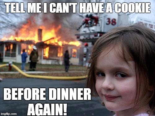 Disaster Girl | TELL ME I CAN'T HAVE A COOKIE; BEFORE DINNER AGAIN! | image tagged in memes,disaster girl | made w/ Imgflip meme maker