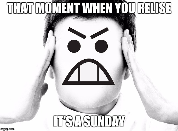 THAT MOMENT WHEN YOU RELISE; IT'S A SUNDAY | image tagged in funny | made w/ Imgflip meme maker