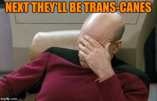 Captain Picard Facepalm Meme | NEXT THEY'LL BE TRANS-CANES | image tagged in memes,captain picard facepalm | made w/ Imgflip meme maker