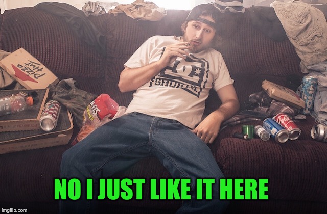 Stoner on couch | NO I JUST LIKE IT HERE | image tagged in stoner on couch | made w/ Imgflip meme maker